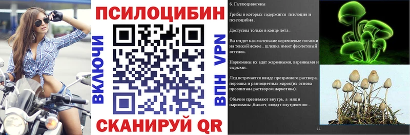 Галлюциногенные грибы MAGIC MUSHROOMS  где купить наркотик  Дигора 